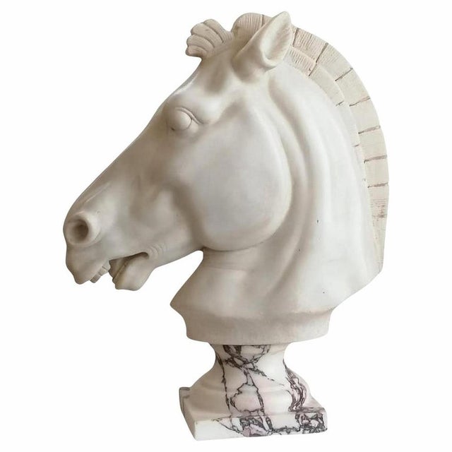 Italian Artist, Horse Head, Carrara Marble, Early 20th Century For Sale - Image 5 of 6
