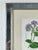 Hollywood Regency Vintage Trowbridge Custom Framed Botanical Print “Cosmanthus Grandiflorus” After Louis Van Houtte (1810–1876) For Sale - Image 3 of 10