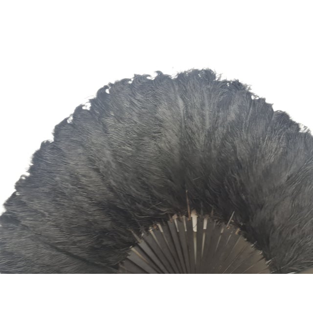Art Deco Polish Autriche Feather Fan, 1920s For Sale - Image 12 of 16