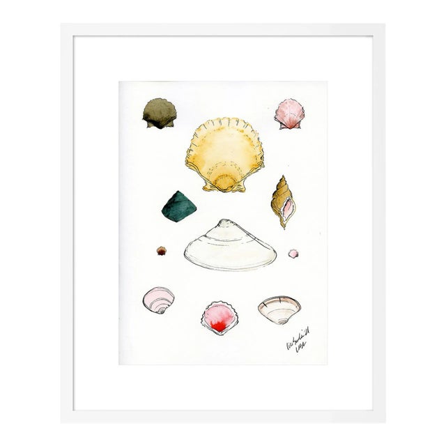 Shells I by Lia Burke Libaire in White Frame, Small Art Print For Sale
