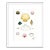 Shells I by Lia Burke Libaire in White Frame, Small Art Print For Sale