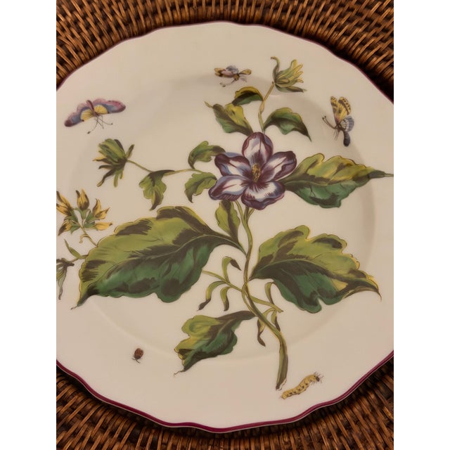 Green Chelsea Plates Botanical Design by Mottahedeh for Metropolitan Museum of Art - Set of 4 For Sale - Image 8 of 12