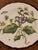 Green Chelsea Plates Botanical Design by Mottahedeh for Metropolitan Museum of Art - Set of 4 For Sale - Image 8 of 12