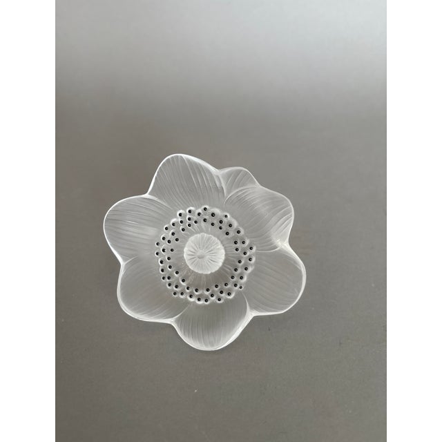 Glass Lalique Glass Anenome Flower Paperweight For Sale - Image 7 of 7