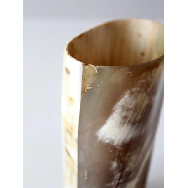 Mid 20th Century Vintage Cow Horn Vase For Sale - Image 5 of 10