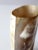 Mid 20th Century Vintage Cow Horn Vase For Sale - Image 5 of 10