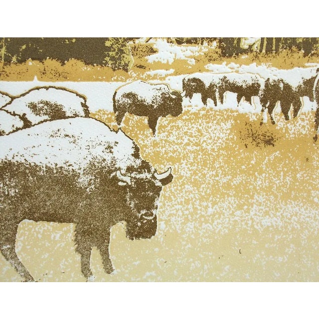 1980s Ted Thomas Realistic Etching of Buffalos Southwestern Art Print on Paper For Sale - Image 4 of 5