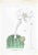 Lithograph hand watercolored. Plate from "Atlante di Botanica popolare ossia Illustrazione di Piante Notevoli di ogni...