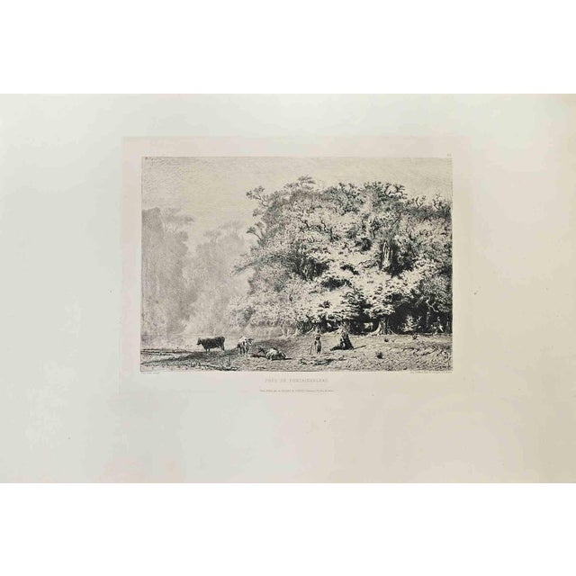 Paul Huet, Près de Fontainebleau, Etching, 1870s For Sale