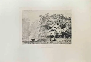 Paul Huet, Près de Fontainebleau, Etching, 1870s