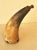 Very rare!!!! Early 19th Century hand made gun powder horn with original carved wood pin and carved base with original...