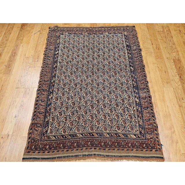 "A beautiful and highly collectible late 19th century Persian Afshar tribal rug, hand-knotted in a refined allover boteh...
