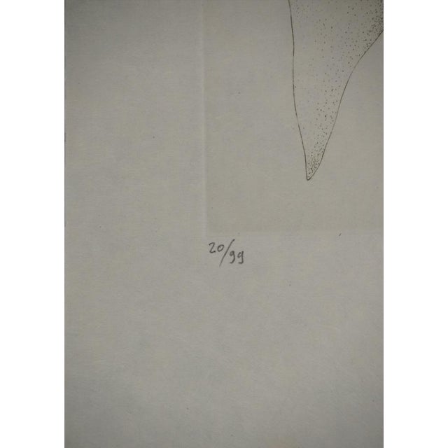 Modern Fred Deux, Relative, Original Engraving For Sale - Image 3 of 6