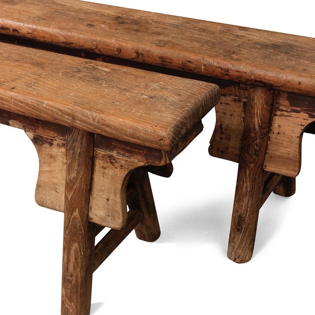 Set of Narrow Elm Benches For Sale - Image 3 of 7