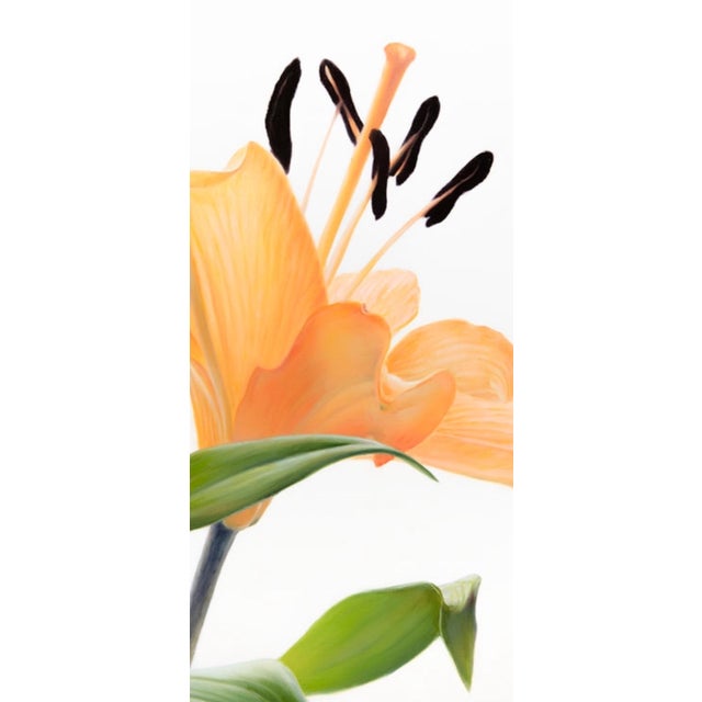 At First Light 36” x 30” Oil on Canvas Unframed, on stretchers This luminous oil on canvas by Phil Courtney presents an...