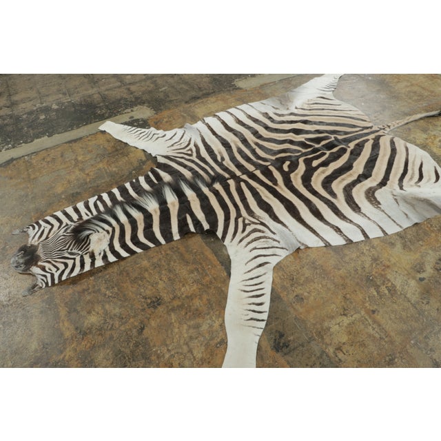 2020s Rug & Kilim’s Contemporary Burchell Zebra Hide Rug With Classic Black Stripes (Pair) For Sale - Image 5 of 9