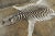 2020s Rug & Kilim’s Contemporary Burchell Zebra Hide Rug With Classic Black Stripes (Pair) For Sale - Image 5 of 9