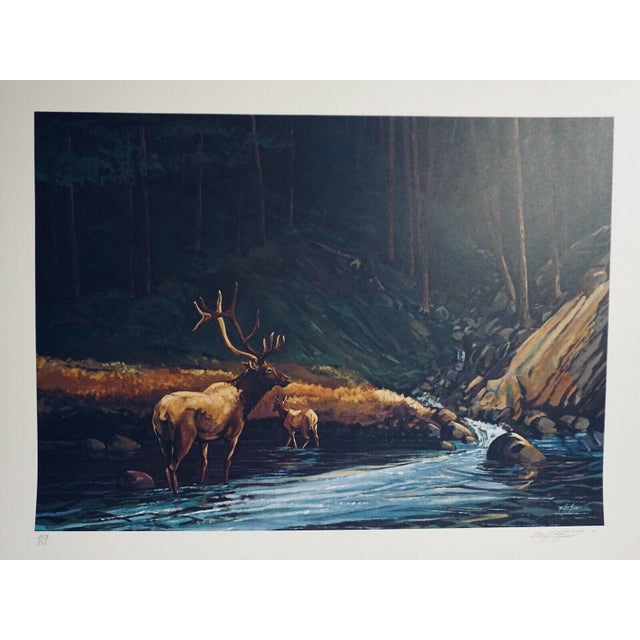 1977 "The Old Bull" Wildlife Lithograph Numbered 253/500 by Bill Elliott For Sale - Image 4 of 4