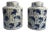 1940s Chinese Porcelain Koi Ginger Jars - a Pair For Sale