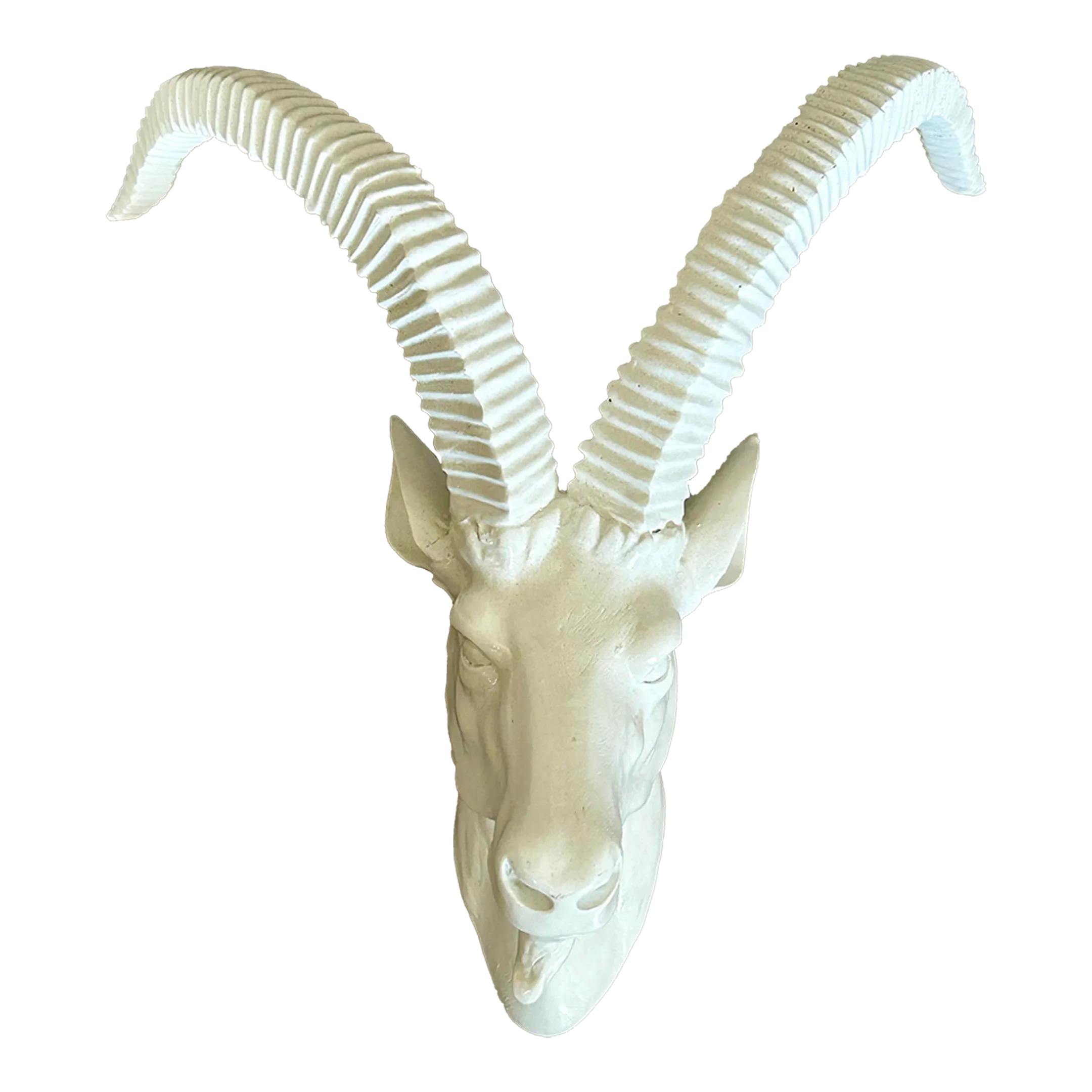 Vintage Faux Taxidermy White Goat Head Wall Mount | Chairish