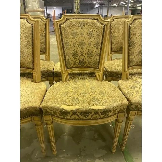 1920s Set of 6 Vintage Louis XVI Upholstered Dining Chairs For Sale - Image 4 of 5