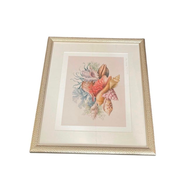 2000 - 2009 Framed Coastal Seashell Bouquet Watercolor Art Print For Sale - Image 5 of 12