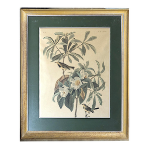 Mid 20th Century Framed John James Audubon "Bachmans Warbler" No 37 Print