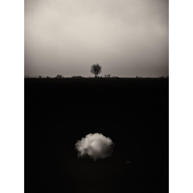 Gaia Diptych #6 by Jaume Llorens Bach is a 18cm x 24cm Black and White print on Premio Kozo gsm White Paper by Awagami...