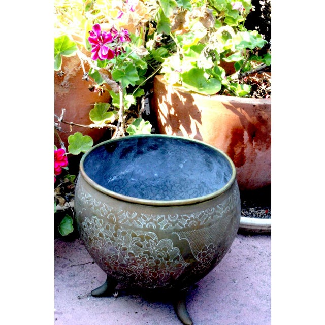 Contemporary 8" Vintage Hand-Chased Brass Cachepot Jardinere – Peony & Chrysanthemum Engravings For Sale - Image 3 of 15