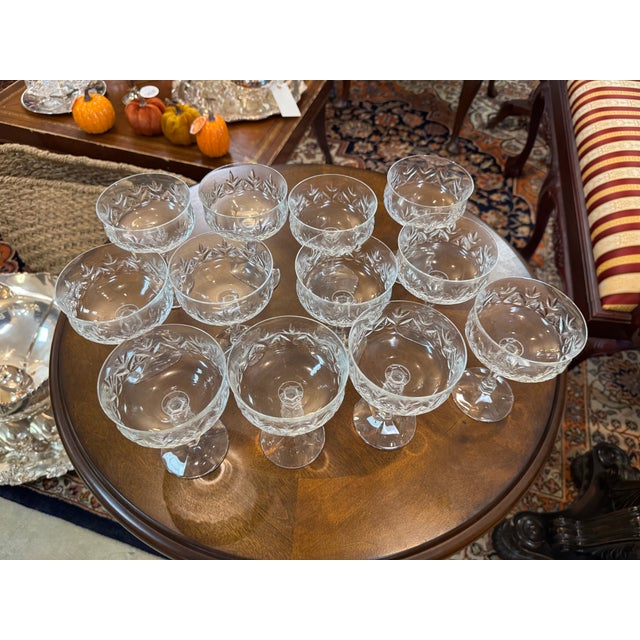 Mid 20th Century Vintage Champagne/Tall Sherbet Antoinette by Schott-Zwiesel Set of 12 For Sale - Image 5 of 17