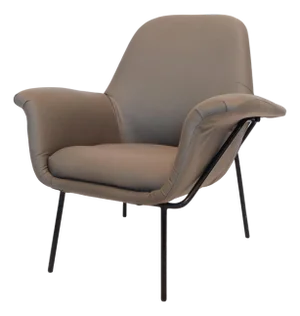 Giancarlo De Carlo "Lucania" Lounge Chair by Arflex