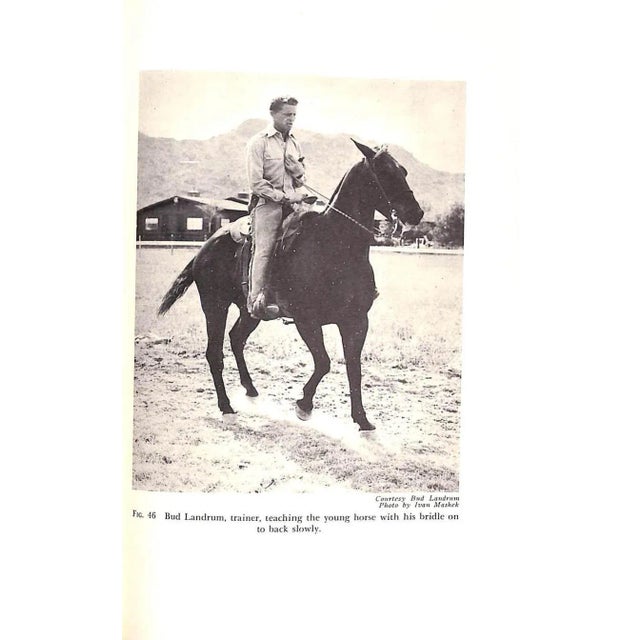 "America's Riding Horses a Guide to All Breeds for the Amateur" 1958 Orcutt, Capt. Harry P., Orcutt, Ben Avis For Sale - Image 11 of 12
