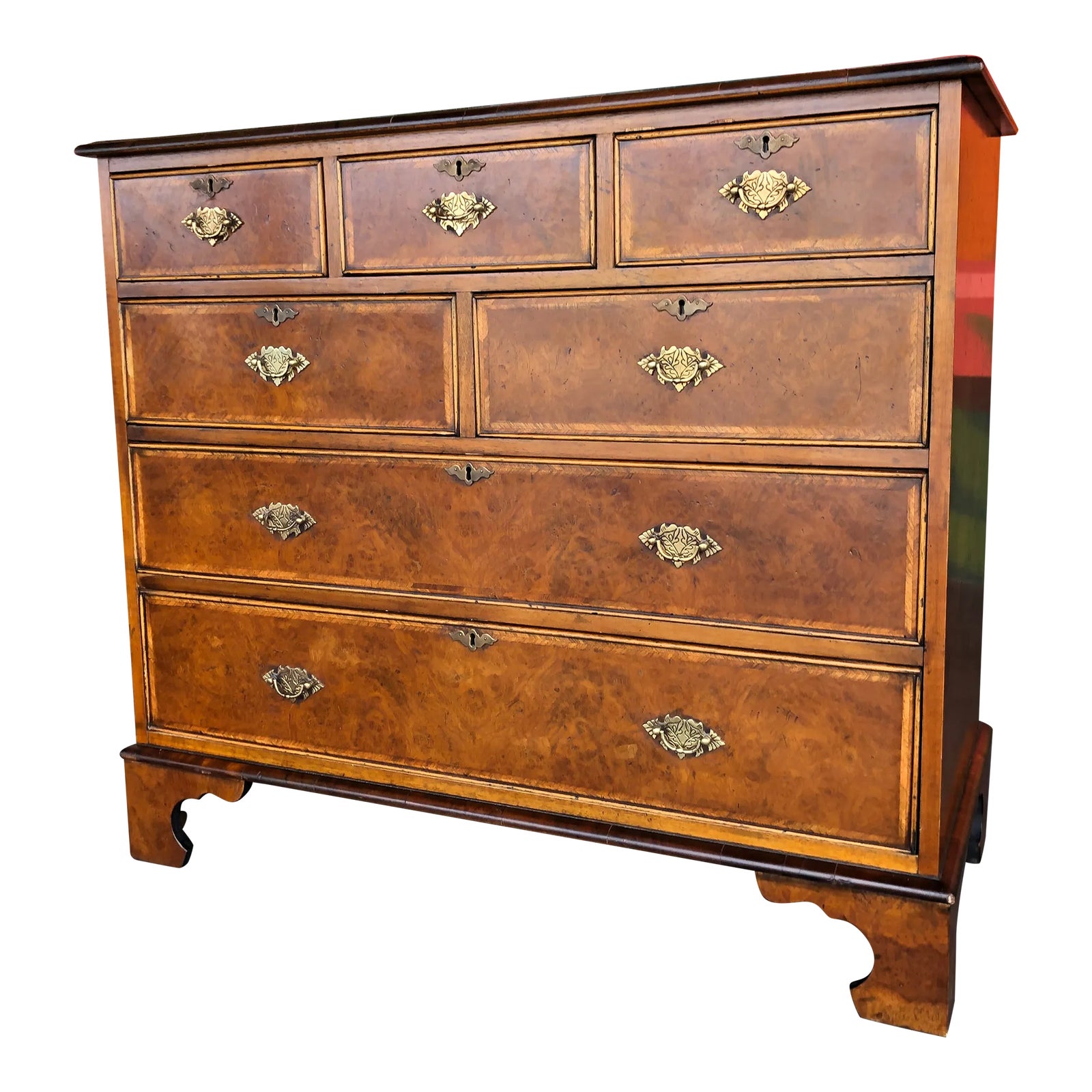 Burl Chest: Nature's Artistry in Wood - Unveiling the Beauty and Value