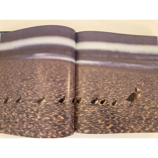 The Blue Planet a Natural History of the Oceans Hardcover Book For Sale - Image 9 of 13