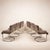 Italian Astro Chrome and Taupe Suede Armchairs by Guido Faleschini for I4 Mariani, 1979, Set of 6 For Sale - Image 3 of 18