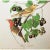 1960s Red Summer Bird by John James Audubon, 1966 American Classical or Chinoiserie Print For Sale - Image 5 of 10