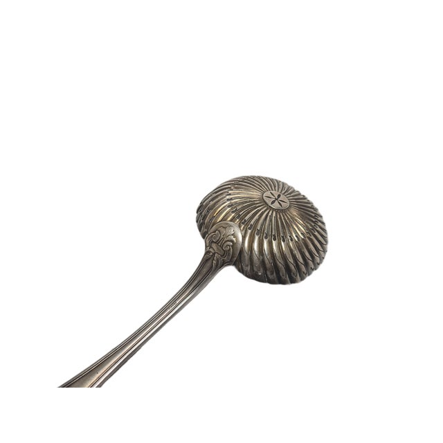Bidermeier Marinated Tomatos Spoon, France, 1900s For Sale - Image 14 of 18