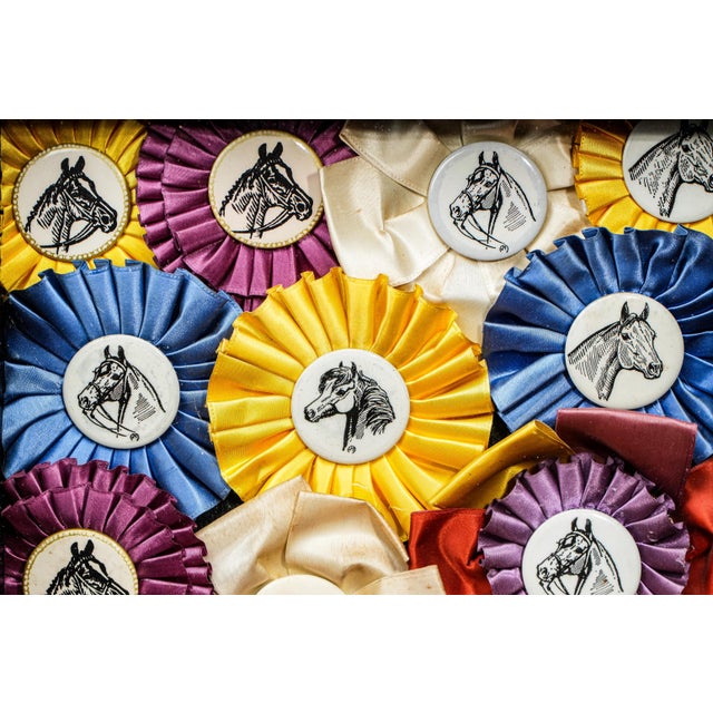 American Unique Horse Show Ribbon Trophy Collage Vintage Country Home Wall Decor For Sale - Image 3 of 9