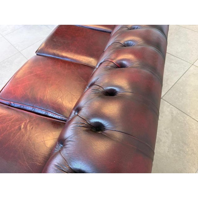 Animal Skin Chesterfield Four Seater Club Sofa in Oxblood For Sale - Image 7 of 18