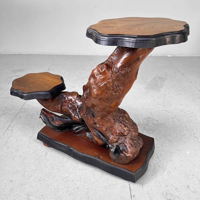 Japanese Burl Wood Plant Stand, 1920s For Sale - Image 16 of 16