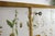 Modern Swedish Cabinet Nordens Floraby C.A.M Lindman in the style of Josef Frank, 1940s For Sale - Image 10 of 11