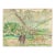 1950s Grace Spongberg Horses Near Koko Head Hawaii Drawing For Sale
