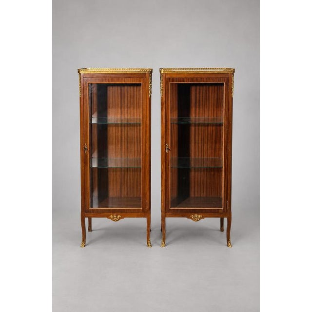 Louis XVI Style Glass Display Cabinet with Decorative Metal Mounts For Sale - Image 9 of 9