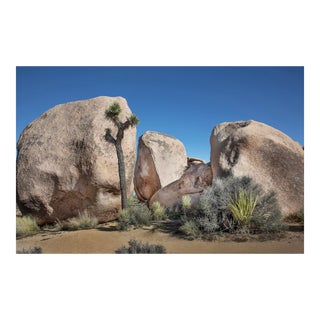 42" Signed Limited Edition Print by Glenn Daidone / Lone Joshua For Sale