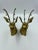 Metal Mid 20th Century Hollywood Regency Style Brass Stag Bust Bookends - a Pair For Sale - Image 7 of 13