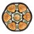 Vintage French Majolica Oyster Plate For Sale