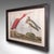 English Vintage Scarlet Ibis Picture, English, Framed Print, Jj Audubon, Wildlife Art For Sale - Image 3 of 9