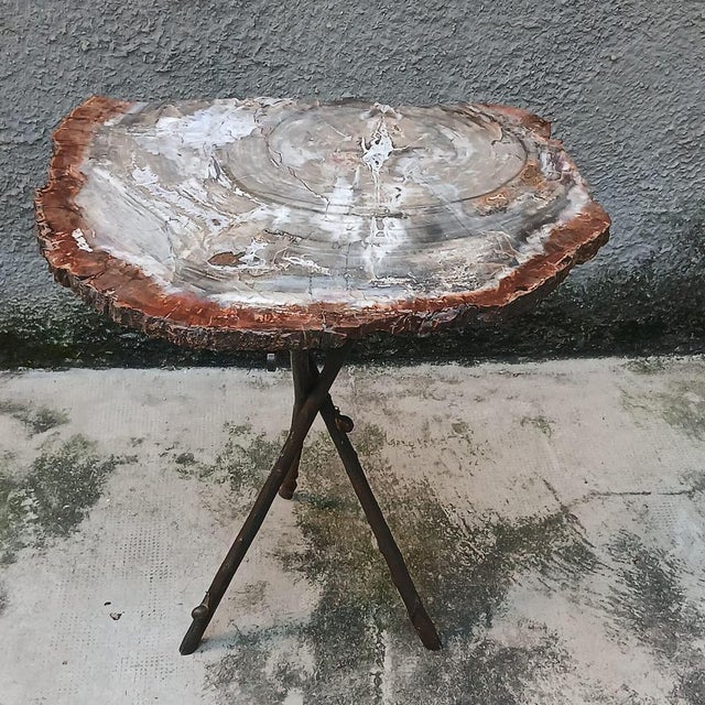 Sculptural Table in Fossil Wood and Bronze, Europe, Mid-20th Century For Sale - Image 4 of 18
