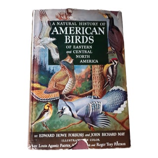 1939 a Natural History of American Birds Illustrations by Allan Brooks & Others Top Bird Painters For Sale