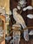 Hollywood Regency Maison Baguès Gilt Metal and Rock Crystal Parrot-Form Two-Light Wall Sconces -a Pair For Sale - Image 3 of 11